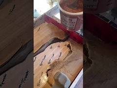 Strahlendes Leuchten in Deep Pour-Harz